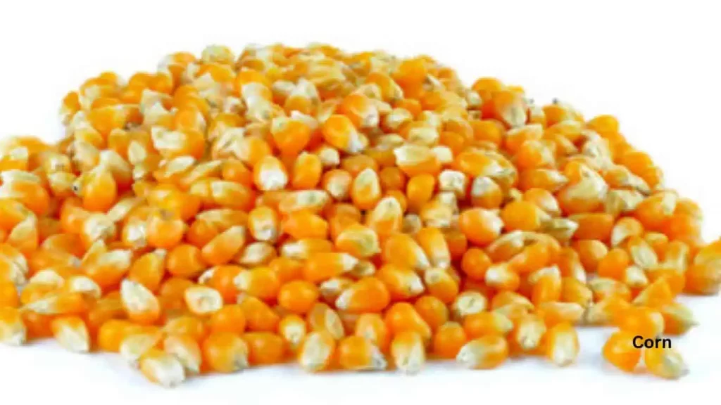 Corn