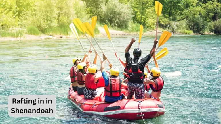 Rafting in in Shenandoah