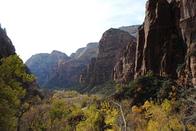 zion national park