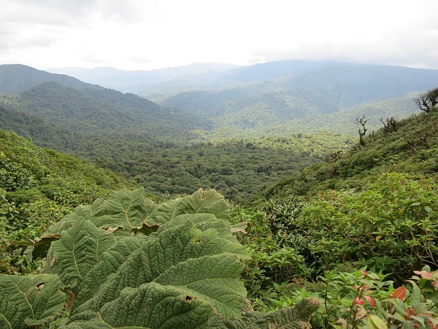 costa rica