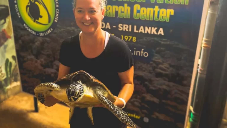 Turtle Conservatory in Sri Lanka