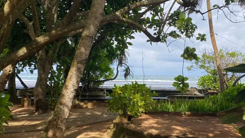 Sri Lanka Beach