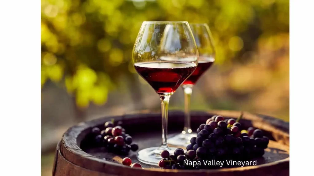 Two glasses of red wine in a Napa Valley Vineyard