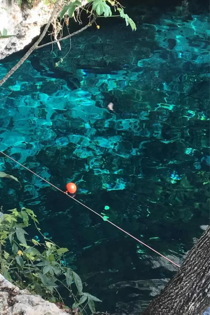 things to do in Playa del Carmen - Cenote